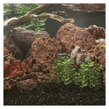 vidaXL Lavagranulat 25 kg Rot 10-30 cm