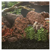 vidaXL Lavagranulat 25 kg Rot 10-30 cm