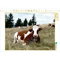 Calvendo Ein Motiv aus dem Kalender Schwarzwald und Kühe