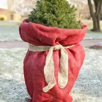 Videx Winterschutz Jutesack 110 x 60 cm