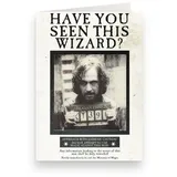 minalima Zaubereiministerium: "Have You Seen This Wizard?" Lentikularkarte