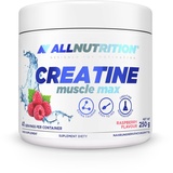 ALLNUTRITION Creatine Muscle Max Nahrungsergänzungsmittel - Creatin Monohydrat mit Taurin - Leistungssteigerung und Muskelaufbau - ohne Zuckerzusatz - Instantpulver 250g - Himbeere