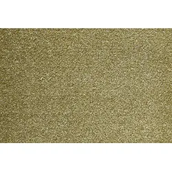 Teppichboden ANDIAMO "Velours Verona", grün, B:500cm H:6mm L:400cm, Kunstfaser, Teppiche, Uni Farben, Breite 400 cm oder 500 cm, strapazierfähig, pflegeleicht