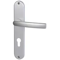 Alpertec PZ-Langschildgarnitur Vanda Edelstahl Silber