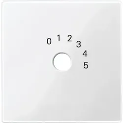 Merten 452019 Zentralplatte für Programmwahlschalter polarweiß glänzend System M