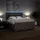 vidaXL Boxspringbett mit Matratze Taupe 180x200 cm Stoff