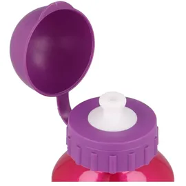 Disney Aluminium Trinkflasche Mehrfarbig 0,4 l