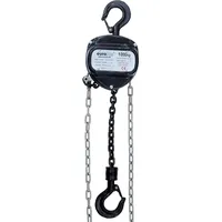 Eurolite Kettenzug 10M/1.0T schwarz