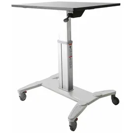 Startech StarTech.com Mobile Sit-Stand Workstation - Aufstellung für Notebook/Tastatur/Maus - schwarz & silber