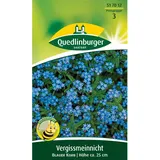 Quedlinburger Vergissmeinnicht ''Blauer Korb''