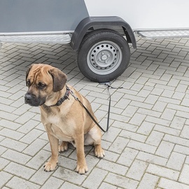 PRO PLUS ProPlus 361858 Dog Secure Hundesitter mobiler Bodenanker für Hunde