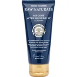 primor international zrt Raw Naturals Raw Naturals Recipe For Men Mr Cool After Shave Balm 100 ml