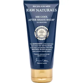 primor international zrt Raw Naturals Mr.Cool After-Shave Balm 100 ml