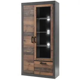 Lomadox Vitrine Berlin-61 97 x 201 x 40 cm Grau