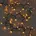 LED Lichterkette Cluster 24 warmweiß