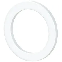 Riegler Dichtring aus PTFE für Gewinde G 1/4 100 Stück