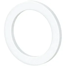 Riegler Dichtring aus PTFE für Gewinde G 1/4 100 Stück