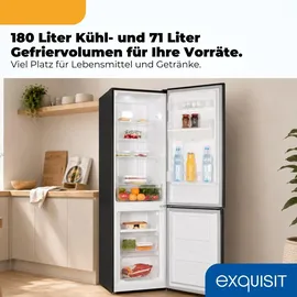 Exquisit KGC265-70-NF-WS-040C Kühl-Gefrierkombination (251 l, 1805 mm hoch, Inoxlook-az)