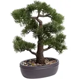 Botanic-Haus künstlicher Bonsai in brauner ovaler Keramikschale (45 cm, Ceder)