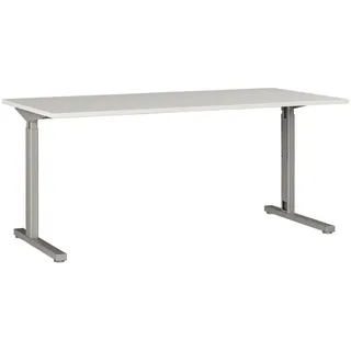 Germania Schreibtisch GW-Profi 2.0 lichtgrau/silber