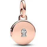 Pandora Liebesmedaillon Roségold 783066C01