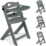BabyGO Hochstuhl Family Pro grey (Hochstuhl)