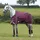 Weatherbeeta Comfitec Plus Dynamic II Standard Medium 220g - maroon/grey/white, 150