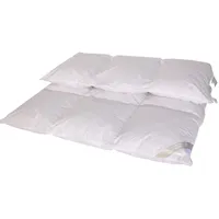 Betten Hofmann Luxus Winter Kassetten Daunenbett Daunendecke 3x4 155x220 cm 100% neue Daunen - Weiß