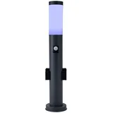 GLOBO Stehlampe Smart Außenleuchte mit Bewegungsmelder Gartenleuchte dimmbar, Sprach-, App Steuerung, Rgb LED 8,5w 806lm Warmweiß, H 60 cm