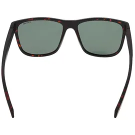 Polaroid Brille PLD 2155/S Größe 57-17 mm Matte Braun Havana polarisiert - 57-17