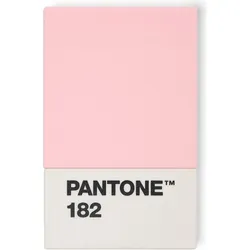 Pantone Kartenetui hellrosa