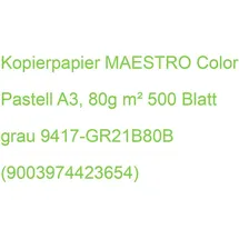 MAESTRO color MAESTRO color, A3, 80g 500Bl grau