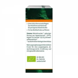 Hübner Ingwer Tropfen bio 20 ml