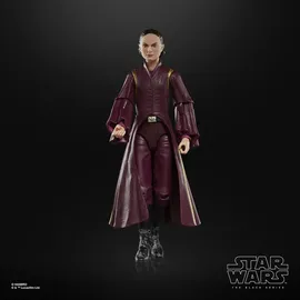 Hasbro Padmé Amidala Action-Figur 15 cm