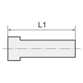 Riegler Hohlschraube, einfach, G 1/8, Messing vernickelt