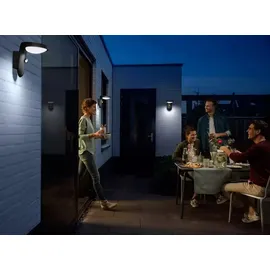 Philips LED Außenwandleuchte Tyla 255 lm