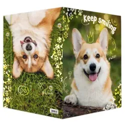 RNK Gummizugmappe A3 Corgi 45382 320x420mm