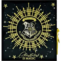 HPIC8026 - Undercover - Harry Potter Adventskalender für Teens