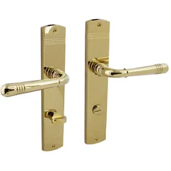 MS Beschläge Schildgarnitur Classic Türbeschlag Türdrücker Messing Optik Türgriff WC DIN Norm