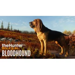 TheHunter: Call of the Wild - Bloodhound