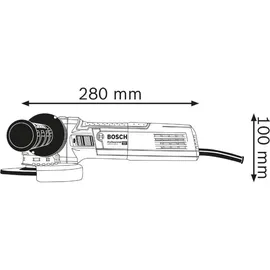 Bosch GWX 750-125 Professional 06017C9100