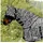 Waldhausen Ekzemerdecke Fliegenhalsdecke Zebra Warmblut Schwarz/Weiß