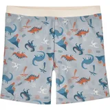 Playshoes 461395 Schwimm-Boxershorts Mehrfarbig