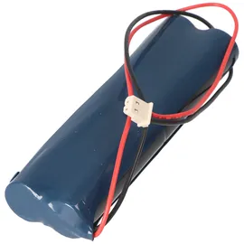 AccuCell Notleuchtenakku NiMH 4,8V AA 1 St.