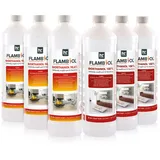 Höfer Chemie Bioethanol Probierset 6 x 1 L