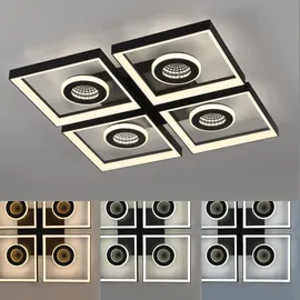 Paul Neuhaus Traforo 1 warmweiß-kaltweiß dimmbar quadratisch schwarz
