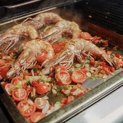 SANTOS BBQ Plancha, Einsatzpfanne für SANTOS S-Serie und Burnhard EARL