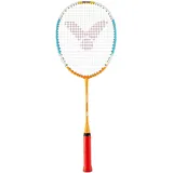 Victor Badmintonschläger Training