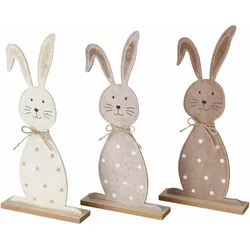 Hase PAULE