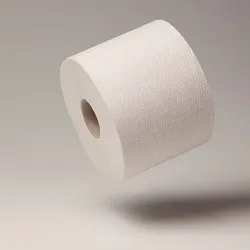 Huchtemeier Green Hygiene - Toilettenpapier aus recyceltem Papier, 2-lagig, 500 Blatt, 36 St.